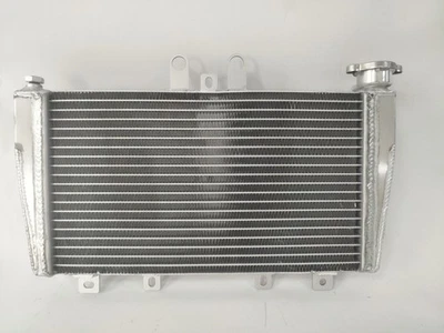 Factory Outlet for Radiator 2005-2010 Triumph Speed Triple 1050 OEM# T2100276 — 第 1/4 张图片