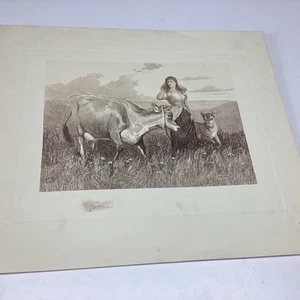 Stampa incisione carta artistica P1-6 FOTO ALFRED ALAIS HOMEWARD EDWIN DOUGLAS FISHELL - Foto 1 di 16