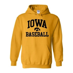 Iowa Hawkeyes Arco Logo Béisbol - Sudadera con Capucha Universitaria - Dorado - Imagen 1 de 6