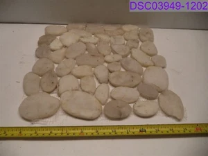 Cantidad = 12: Mosaico de guijarros en rodajas pulidas hemisferio en crema de Fátima 12" x 12" - Imagen 1 de 2