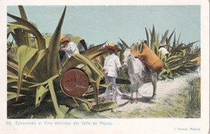 MEXIKO 22 SELTENE UM 1910 ALTE ORIGINAL POSTKARTEN STIERKÄMPFER ZUG BURRO - Bild 1 von 22