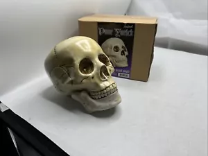 Replica cranio umano povero Yorick di conto articolo 10650 dimensioni vita realistiche - Foto 1 di 8