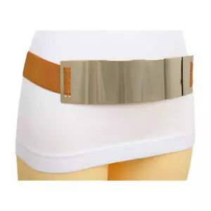Women Brown Elastic Strap Fashion Belt Hip High Waist Gold Metal Plate Fit S M - Picture 1 of 24