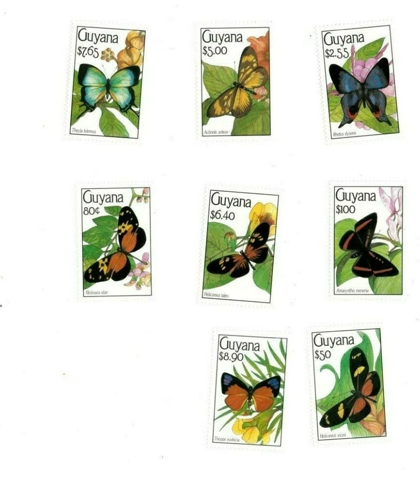 Guyana 1991 - Butterflies - Set of 8 stamps - Scott #2332-9 - MNH - Image 1 of 1