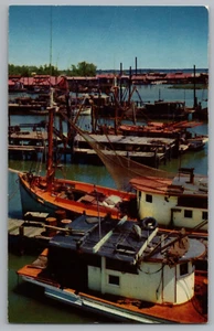 Gulf Coast Shrimp Boats Postcard - Picture 1 of 2