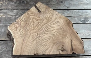 Montana Russian Olive Large Slab Beautiful Grained Wood Not Kiln Dried 20”x 17” - Picture 1 of 14