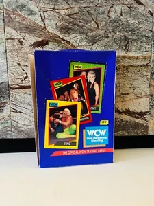 WCW WRESTLING 1991 caja de exhibición vacía Campeonato Mundial de Lucha Libre - Imagen 1 de 4