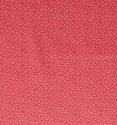 Mini Estampado Rosa Tela BUDA Brilas TELAS MARCUS Edredones Algodón POR YARDA Foto 1 de 3