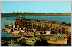 Postcard Nova Scotia Cape St. Mary Evening Light Fishing Boats on Shore - Picture 1 of 2
