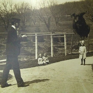 Clean Jump 6216 Antique Stereoview Card Dog Tricks Dog Trainer Cute Girls Twins - Picture 1 of 8