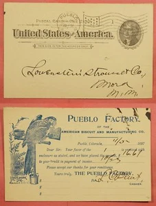 PARROT in BLUE Illustrated 1897 AD PC - Pueblo COLORADO to Mora NEW MEXICO   - Picture 1 of 3