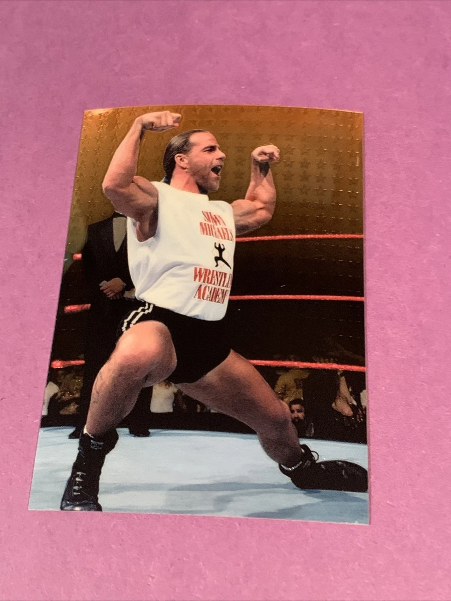 1999 Comic Images WWF SmackDown! Chromium - Shawn Michaels #29 for