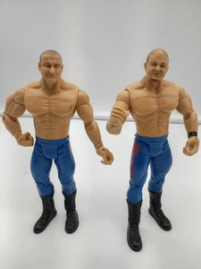 LOTE de figuras de lucha libre WWE Jakks Pacific Adrenaline Series 10 Danny & Doug Basham - Imagen 1 de 5