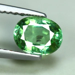 1.01 Cts_Outstanding_100 % Natural Copper Manganese Bearing Paraiba Tourmaline - Foto 1 di 3