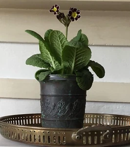 Small Vintage Decorative Copper Pot - Acorn Design - Picture 1 of 5