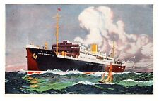 American South African Line New Vintage Steamship postcard City of New York 258