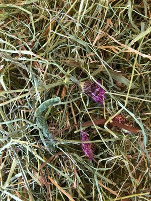 Heu fein & vital *  weiche Struktur (ca. 15kg) - Bild 1 von 3