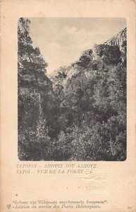 Greece - TATOI - View of the forest - Publ. Service des Postes Helléniques 257 - Picture 1 of 2