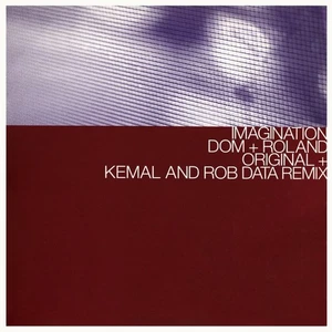 Dom & Roland - Imagination / Imagination (Kemal & Rob Data Remix) (12") (Very Go - Picture 1 of 4