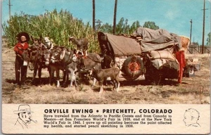 c1950s ORVILLE EWING Walker Postcard Covered Wagon / Donkeys & Goats / Curteich - Picture 1 of 2