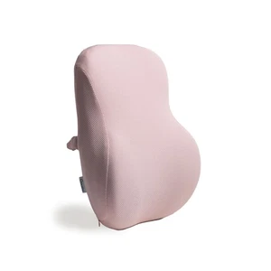 | Cuscino Ergonomico Rilievo Schienale| Accessori Scrivania Ufficio: Cuscini Sedia, Auto... - Foto 1 di 5