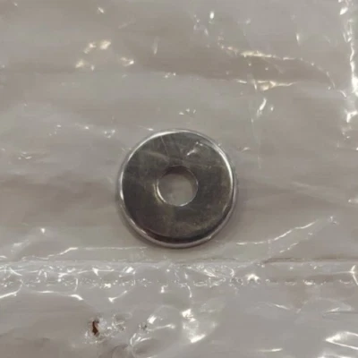 全新 原始设备制造商 Victory 摩托车 不锈钢杯洗衣机 .25" IDX .81" OD - 7556239 — 第 1/4 张图片