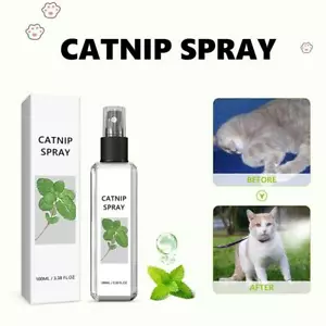 Spray alle Erbe 20ml Gatto Gioia, Sedano Animali Catnip Spray, Spray Erba Gatta per Gatto♘ - Foto 1 di 9