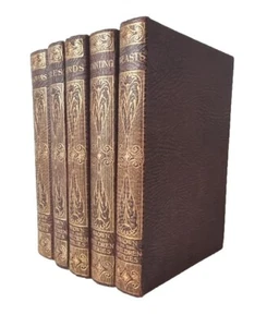 c.1910/5 De-Luxe ILLUSTRIERTE Bücher aus der Serie "DEN KINDERN GEZEIGT" - Bild 1 von 24