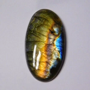 Amazing Quality Spectrolite Labradorite Cabochon Loose Gemstone 51 Cts. ME-7741 - Picture 1 of 5