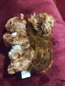 Nutty das Eichhörnchen mit Eichel Ty Beanie Baby 2002 nicht mehr produziert 6 Zoll hoch - Bild 1 von 8
