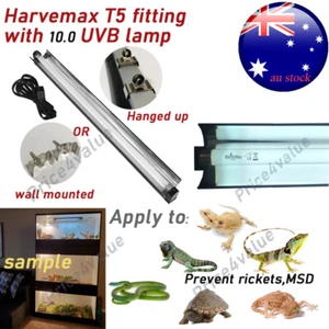 Desert Reptile T5 24w 10.0 UVB Light Fitting With Lamp Terrarium Aquarium Tank - Picture 1 of 1