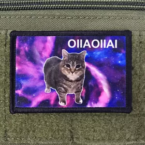 Cat Meme Patch OIIAOIIAI Spinning Moral Military Army USA Flag Hook & Loop 3x2 - Picture 1 of 8