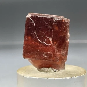 Rocas SS - Cristal de Villiaumita (Macizo de Khibiny, Óblast de Murmansk, Rusia) 7,0 g - Imagen 1 de 7