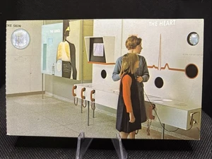 POSTCARD: Health Museum Hinsdale Illinois U10 - Picture 1 of 2