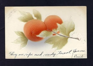 Ilustración de fruta aerografiada/tintada a mano c1900 postal, naranjas en relieve - Imagen 1 de 2
