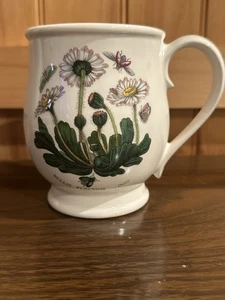 Taza de café Portmeirion Susan Williams Ellis Botanic Garden Perennis Daisy LEER - Imagen 1 de 5