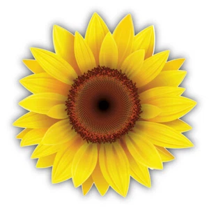 Calcomanía de vinilo con girasol para automóvil - Imagen 1 de 1