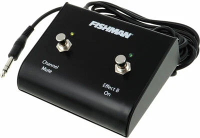 Fishman Dual Foot Switch for Fishman Loudbox Artist Amplifier Performance Amp. - Image 1 of 3