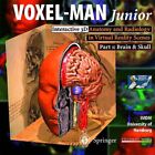 Voxel-Man Junior Part 1: Brain And Skull - Anatomy And Radiology In Virtu 172266