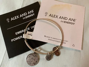 ALEX & ANI DISNEY FROZEN ELSA ANNA RETIRED SILVER BANGLE CHARM BRACELET NWT USA - Imagen 1 de 8