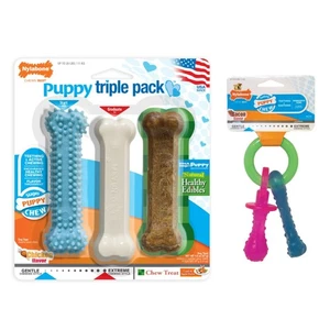 NylabonePuppy Blue Variety Toy & Treat Triple Pack & Keys- Chicken & Bacon - Picture 1 of 7