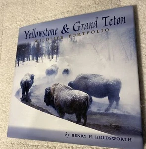 Yellowstone & Grand Teton Wildlife Portfolio - Bild 1 von 7