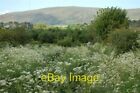 Photo 6x4 The Bog Meadows Springfield/J3174 This nature reserve is locat c2007