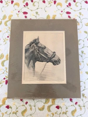 WHIRLAWAY por Reinhold Palenske Caballo GRABADO B&B De Colección Triple Corona Foto 1 de 4