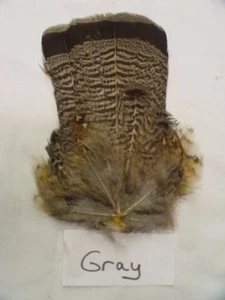 Ruffed Grouse Tail (YOU CHOOSE COLOR) NATURAL or DYED Fly Tying Feathers Crafts - Picture 1 of 20