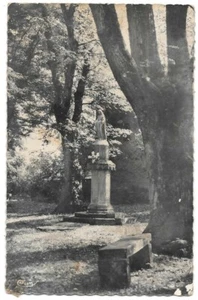 VAUVILLERS 70 La virge des promenades CPSM gezackt geschrieben an Frau Laurang 1954 - Bild 1 von 2