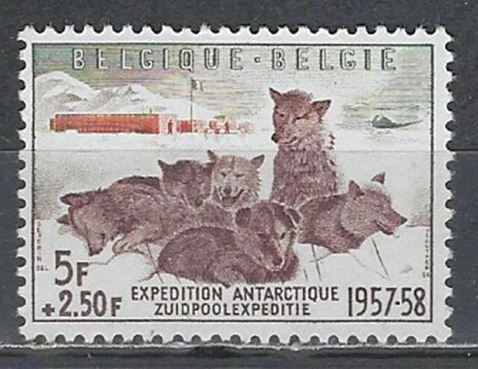 Belgium Scott B605 MNH LotBDP36002 - image 1 of 1
