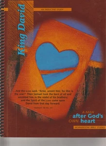 King David Inductive Bible Study: A Man After God's Own Heart - Picture 1 of 1