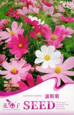 Original Package 100 Coreopsis Seeds Calliopsis Cosmos Bipinnatus Flower A082