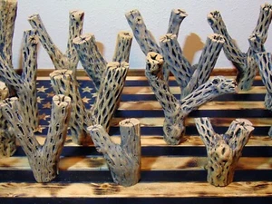 Many CHOLLA Wood "Y" Pieces | YOU PICK A PIECE! | Pre-Cleaned | Aquarium, Crafts - Picture 1 of 43